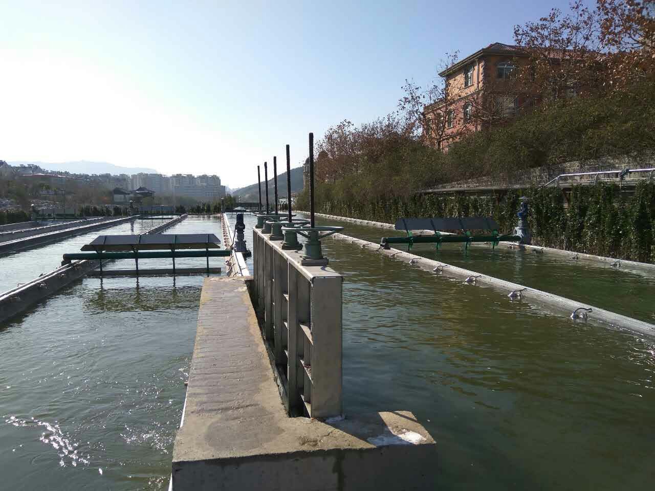 济南海绵城市地下水回灌-藻类净化水项目